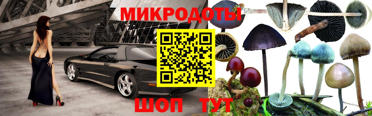 Галлюциногенные грибы Psilocybe  Вход с VPN  Щёлково 