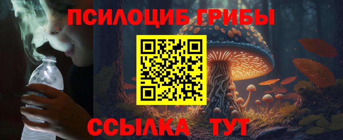 Галлюциногенные грибы Psilocybe Щёлково